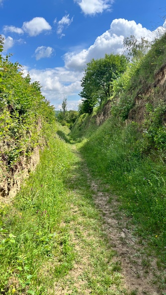 22-06-06 11-28-56 1059.jpeg